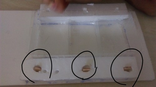 PicsArt_1435379341661