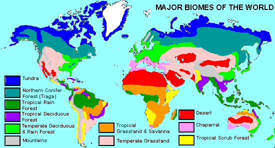 Biome Map
