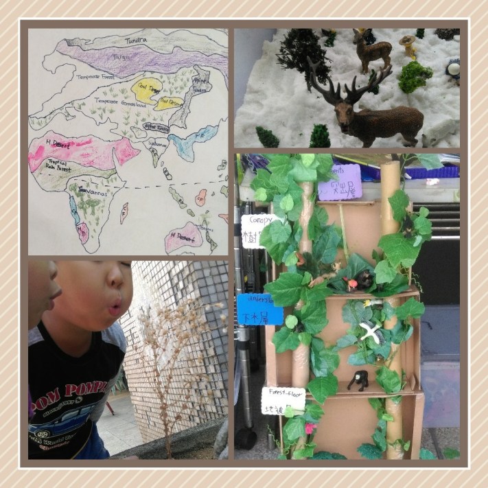 PicsArt_1455011919969[1]