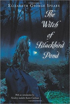 The witch of blackbiard pond
