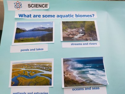 cc Week8_191121_0011