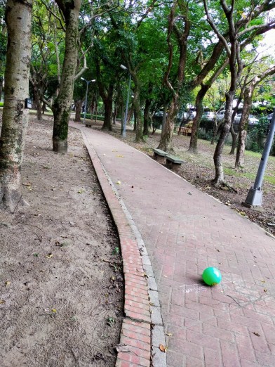 cc Week8_191121_0019